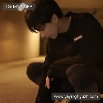 舒舜飚